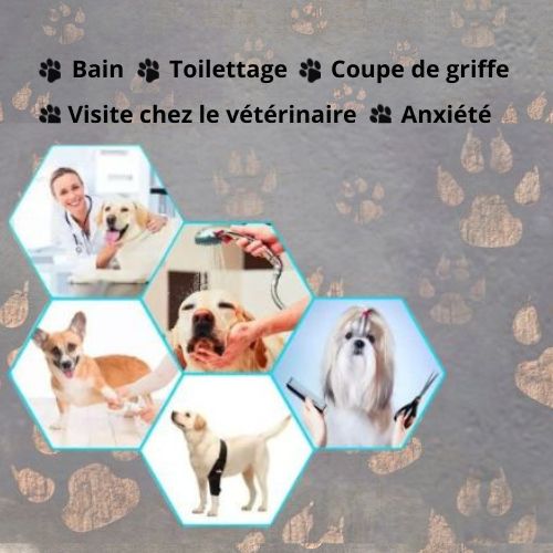 CalmDog™ - Tapis de léchage pour chiens