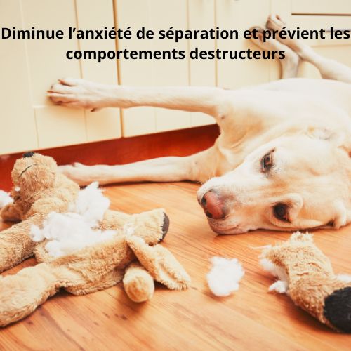 CalmDog™ - Tapis de léchage pour chiens - Fantaisies pour chiens