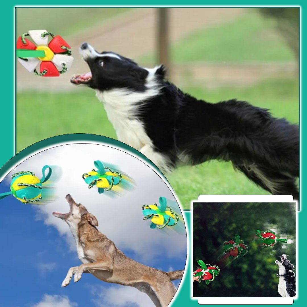FlyingBall™ - La super balle frisbee - Fantaisies pour chiens