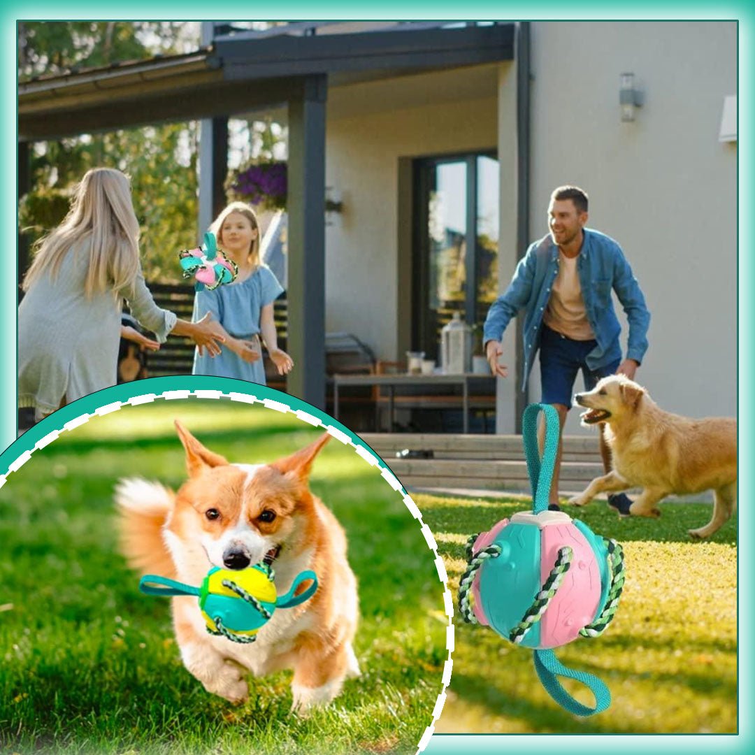 FlyingBall™ - La super balle frisbee - Fantaisies pour chiens