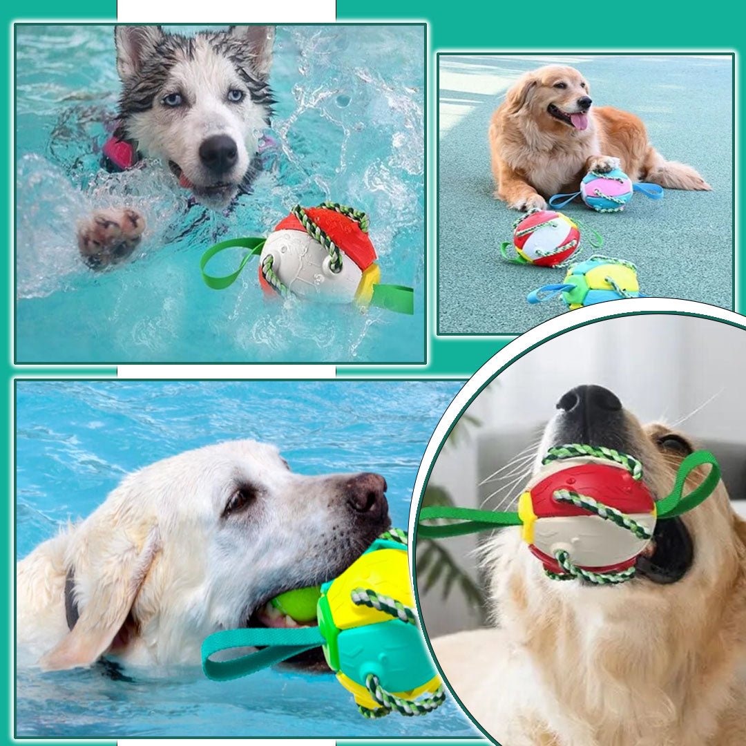 FlyingBall™ - La super balle frisbee - Fantaisies pour chiens