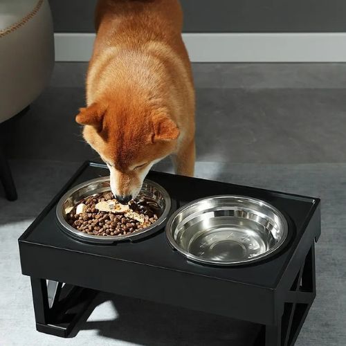 Gamelles | FoodyUp™ - Fantaisies pour chiens