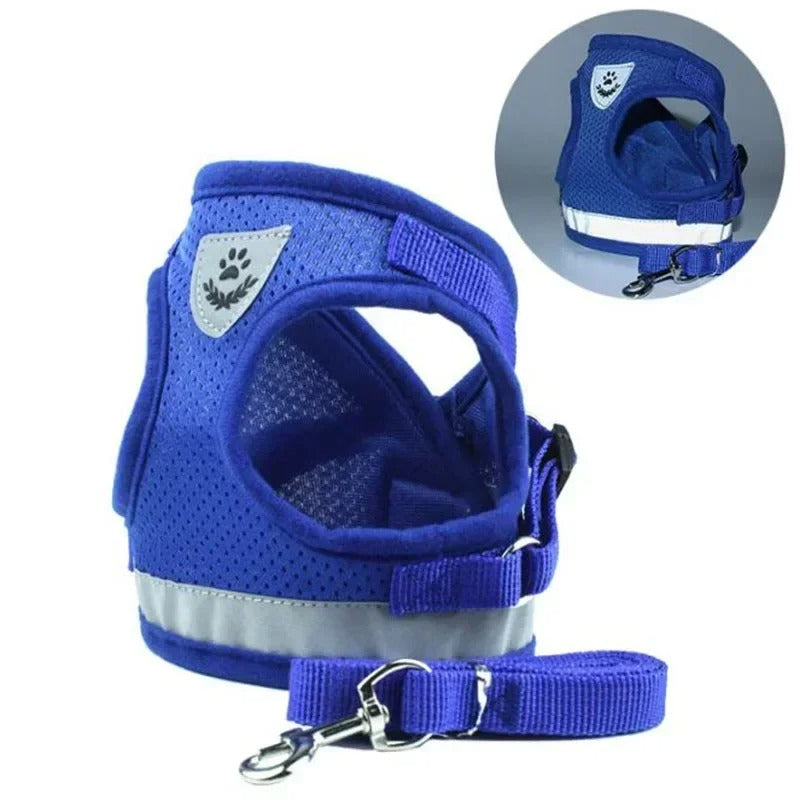 Harnais chien bleu
