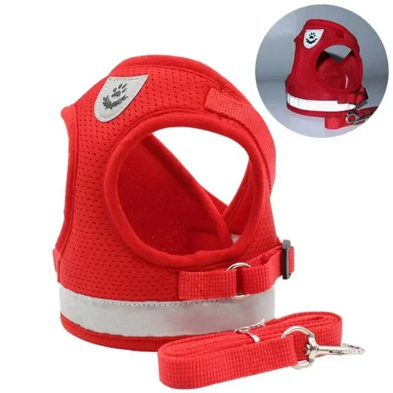 Harnais chien rouge