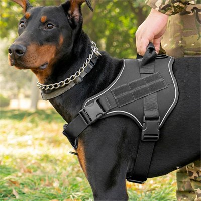 Harnais militaire chien noir Doberman maintenu par la poignée du harnais
