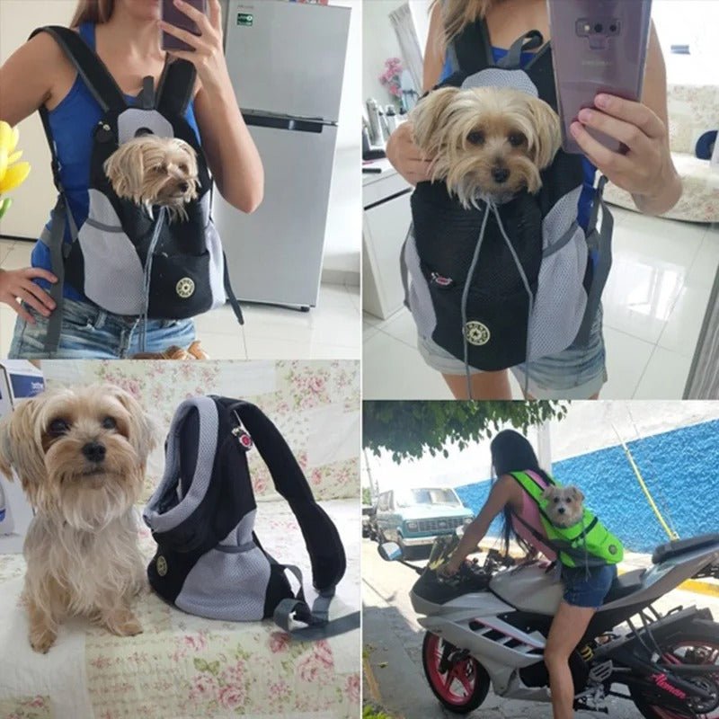 BackpackDog™ - Sac à dos de transport pour animaux de compagnie - Fantaisies pour chiens