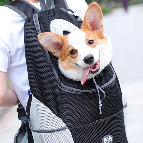 BackpackDog™ - Sac à dos de transport pour animaux de compagnie - Fantaisies pour chiens