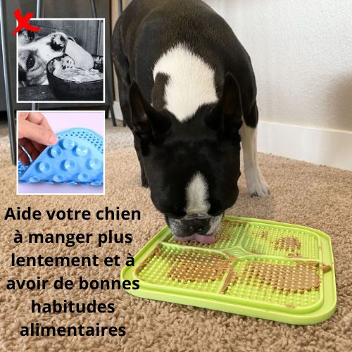 CalmDog™ - Tapis de léchage pour chiens - Fantaisies pour chiens