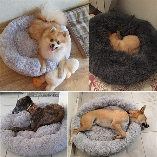 DoggyPouf™- Coussin doux pour chien - Fantaisies pour chiens