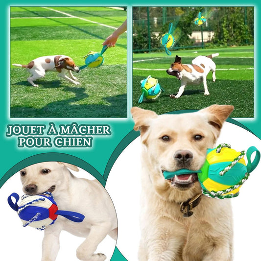 FlyingBall™ - La super balle frisbee - Fantaisies pour chiens