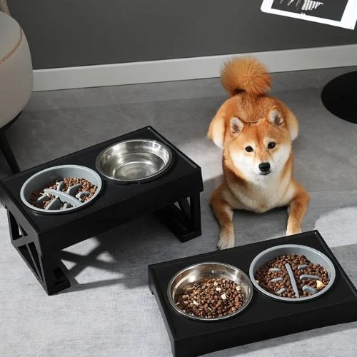 Gamelles | FoodyUp™ - Fantaisies pour chiens